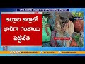 ₹3.45 Crore Ganja Seized in Alluri District | 749 Kg Drugs Recovered at Munchingiputtu