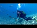 Scuba Diving with Big Fish Diving Rhodos (HD 1080 p)