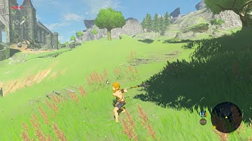 graphical glitches BOTW CEMU 1.7.5