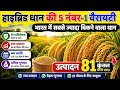 2026 म सबस ज य द प द व र द न व ल ध न क ट प 5 व र यट Dhan Ki Top Variety Dhan Ki Kheti 