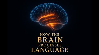 How the Brain Processes Language | Full Audiobook