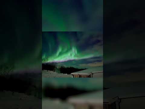 Фантастический вид на полярное сияние на острове Сенья, Норвегия