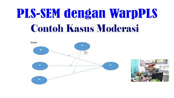PLS SEM dengan WarpPLS, Contoh Kasus Moderasi, Lengkap