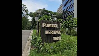 Punggol Heritage Trail - a must visit place in Singapore  #Singapore #winnsphotography #ilovesg