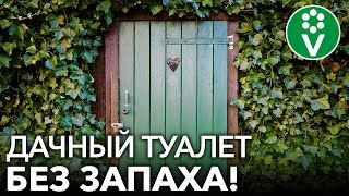 ДАЧНЫЙ ТУАЛЕТ НЕ БУДЕТ ВОНЯТЬ! Залейте ЭТО ДОСТУПНОЕ ВСЕМ СРЕДСТВО и забудьте о запахе надолго