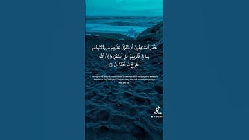 ياسر الدوسري - سورة التوبة