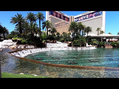 Caballa pasada por agua caliente | Ciberoteca