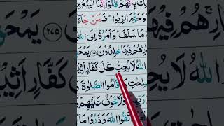 Surah Baqarah Verse 276 🔥🔥 #shortsfeed