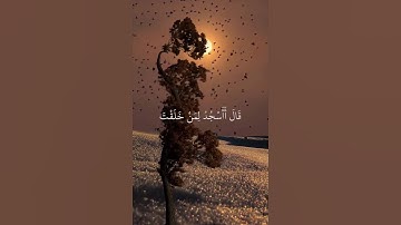 قرآن كريم بصوت جميل #قران_كريم #راحة_نفسية #quran #اكسبلور #المصحف