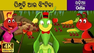 Ant and the Grasshopper in Odia Odia Story Odia Fairy Tales