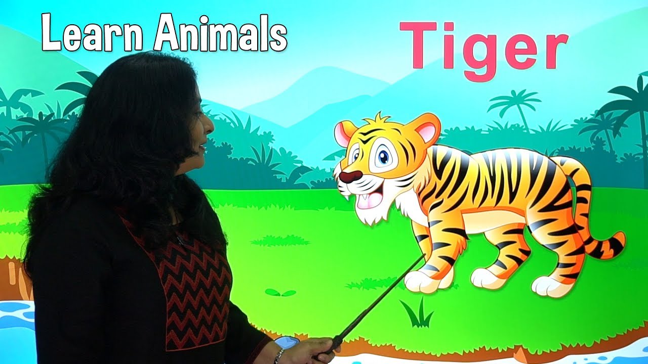 learn abcd youtube learn abcd youtube