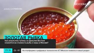 На Дальнем Востоке досрочно закончили вылов лосося – Александр Савельев