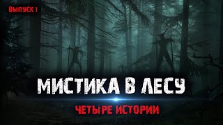 Мистика в лесу (4в1) Сборник №1.