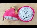 HOW TO CUT DRAGON FRUIT EASILY ? !