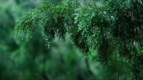 رحلة بين أحضان الطبيعة على تلاوة جميلة جميلة😍💓 لسورة المائدة