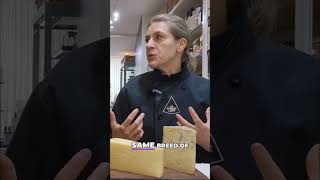 Lanark Blue: The Scottish Cheese Inspired by Roquefort 🧀🏴󠁧󠁢󠁳󠁣󠁴󠁿