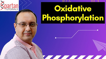 Oxidative Phosphorylation (CSIR NET Life Sciences Unit 1 L19)