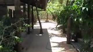 Arena Brasil - Fortaleza! Leva você a Jericoacara ! PARTICIPE!!!