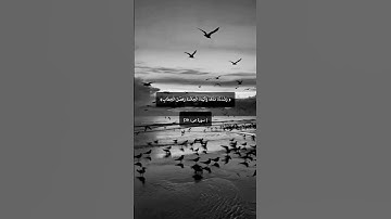 قران كريم بصوت القارئ الشيخ محمد الفقيه 🎧