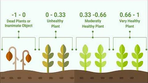 Crop Health Monitoring via satellite and drone imagery. Introduction to Agrindices such as NDVI