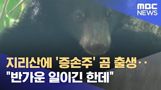 지리산에 '증손주' 곰 출생‥