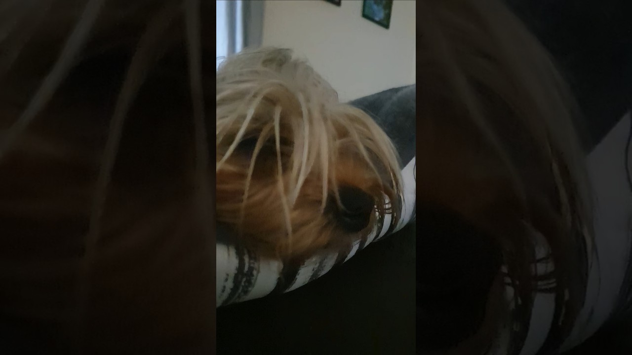 [ACTIVE] View the ads maybe