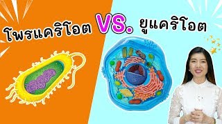 prokaryote vs eukaryote