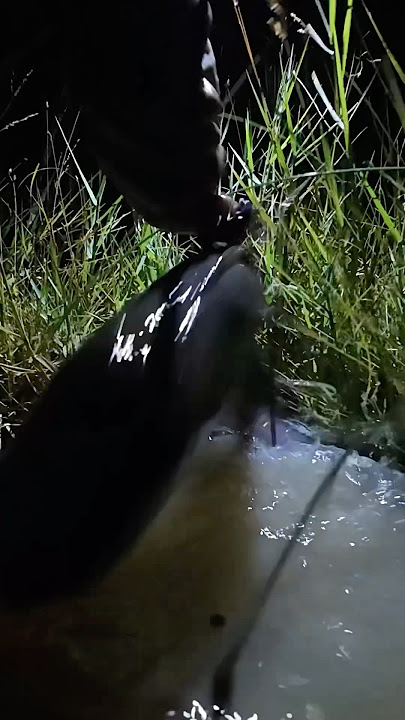 Download lagu Very strong