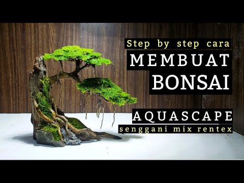 Step by step CARA MEMBUAT BONSAI AQUASCAPE | menggunakan akar senggani mix rentex !!