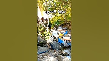 أرح سمعك بصوت القارئ ريان المحيسني سورة القصص #القرآن_الكريم #القارئ_ريان_المحيسني