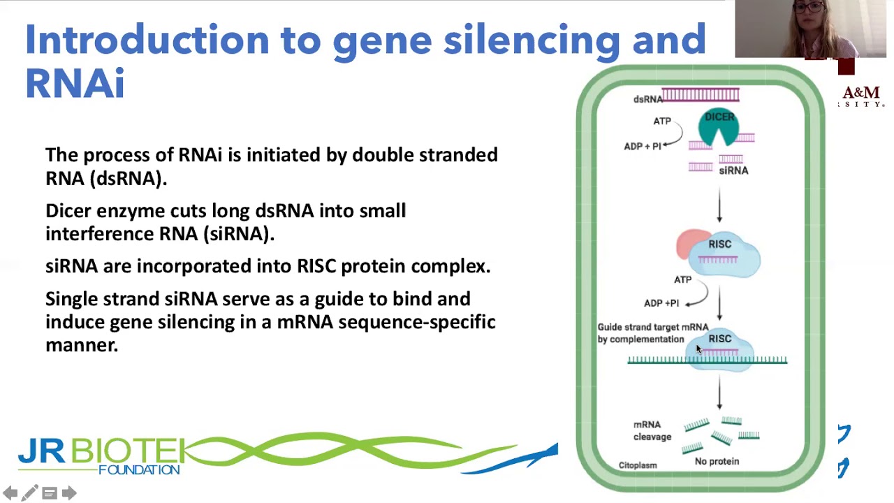 Fundamentals of Plant Gene Silencing Virus Induced Gene Silencing