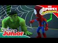 Marvel Spidey y su Superequipo: Una ración de Hulk | Disney Junior Oficial