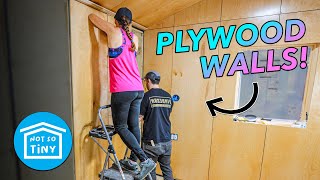 Installing PLYWOOD WALLS (instead of DRYWALL) in the Not So Tiny House