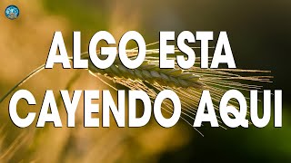 ALGO ESTA CAYENDO AQUI  | Musica Catolica de Alabanza y Adoracion 2024