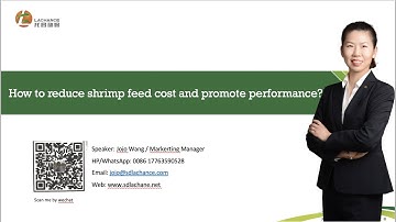 Shrimp feed｜Cholesterol｜How to reduce shrimp feed cost when you use cholesterol?｜Part 2