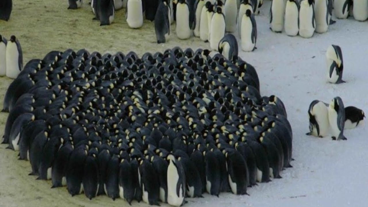 ВЗАИМОПОДДЕРЖКА И ЗАБОТА - YouTube