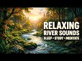 Peaceful Forest River And Waterfall 🌊 Soft Flow Sounds For Relaxation And Sleep