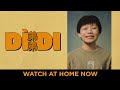 Dìdi (弟弟) | Own or Rent Today!