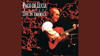 Video thumbnail of "Paco de Lucía - Peroche (Live In America / 1993)"