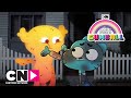 GUMBALL | 14 Şubat Özel | Aşk |  Cartoon Network Türkiye