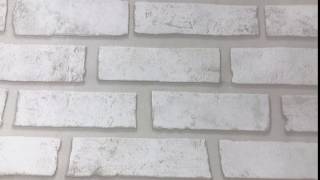 IMG 3740