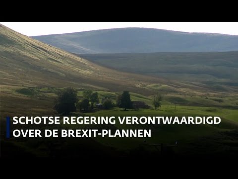 Video: Schotland Dreigde Met Onafhankelijkheidsreferendum Als Reactie Op De Brexit