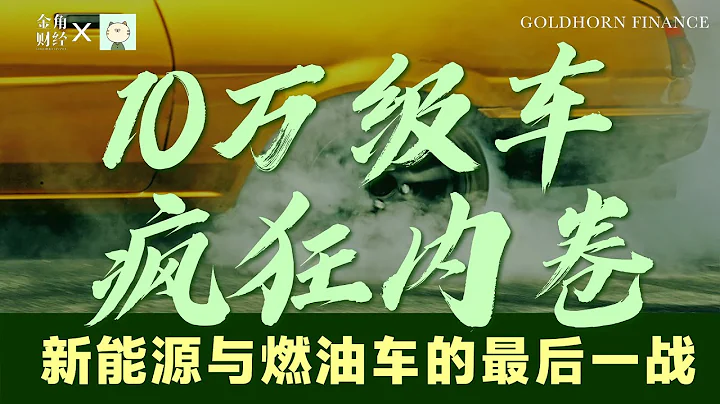 10万级别新能源汽车内卷撕杀战打响，年轻人的第一台电动车会选择小米吗？雷军加入造车新势力角逐，赛道选错还是选对了？丨金角财经 - 天天要闻