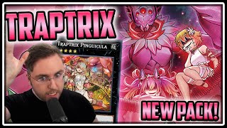 Endless Advantage with NEW Easy to Play Traptrix! [Dkayed Ranked Duels] [Yu-Gi-Oh! Master Duel]