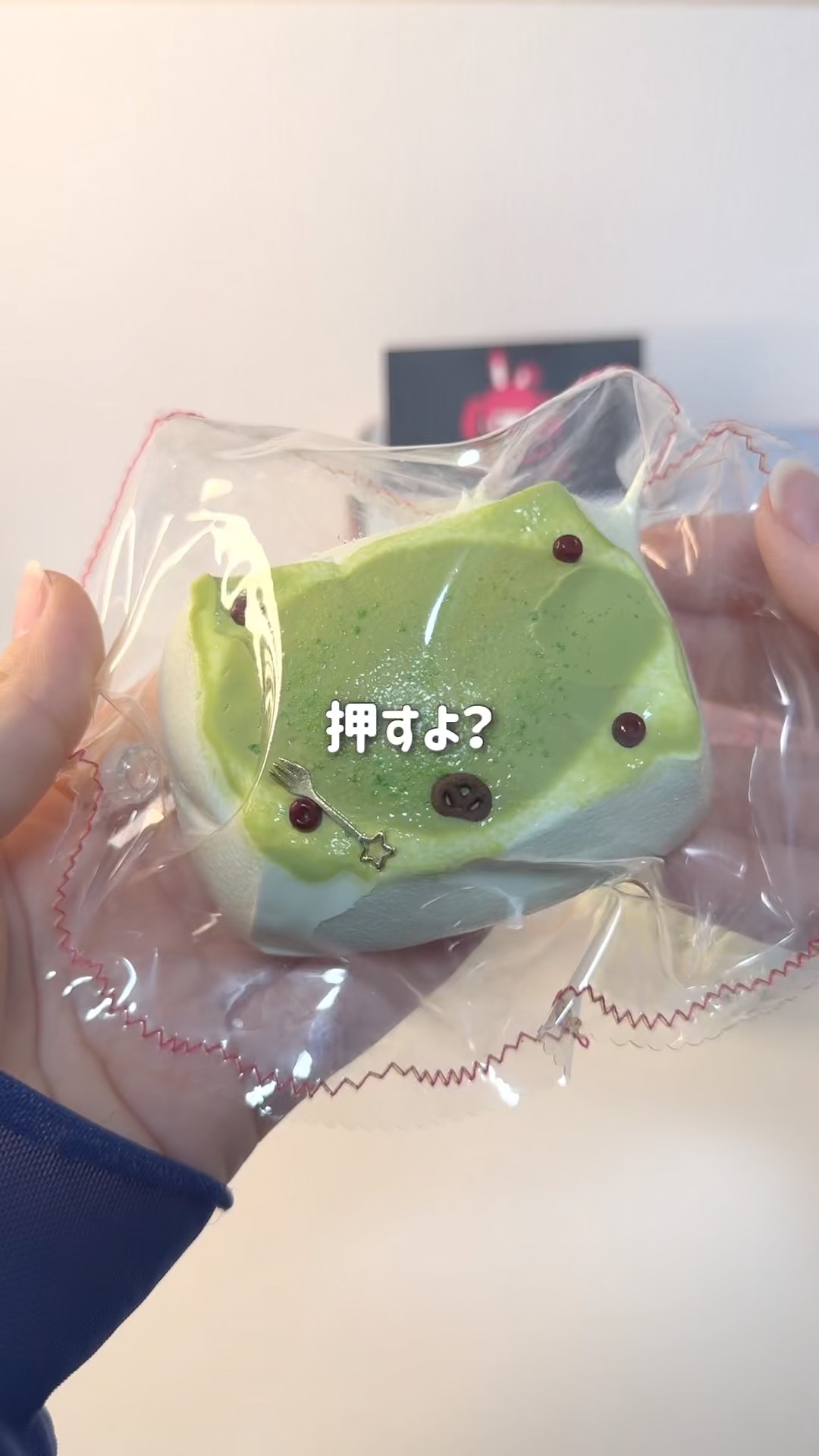 スクイーズ】taonini（タオニニ）スクイーズを初購入してみたら