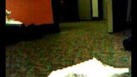 JeVois low-resolution video recording tutorial: 30 frames/s