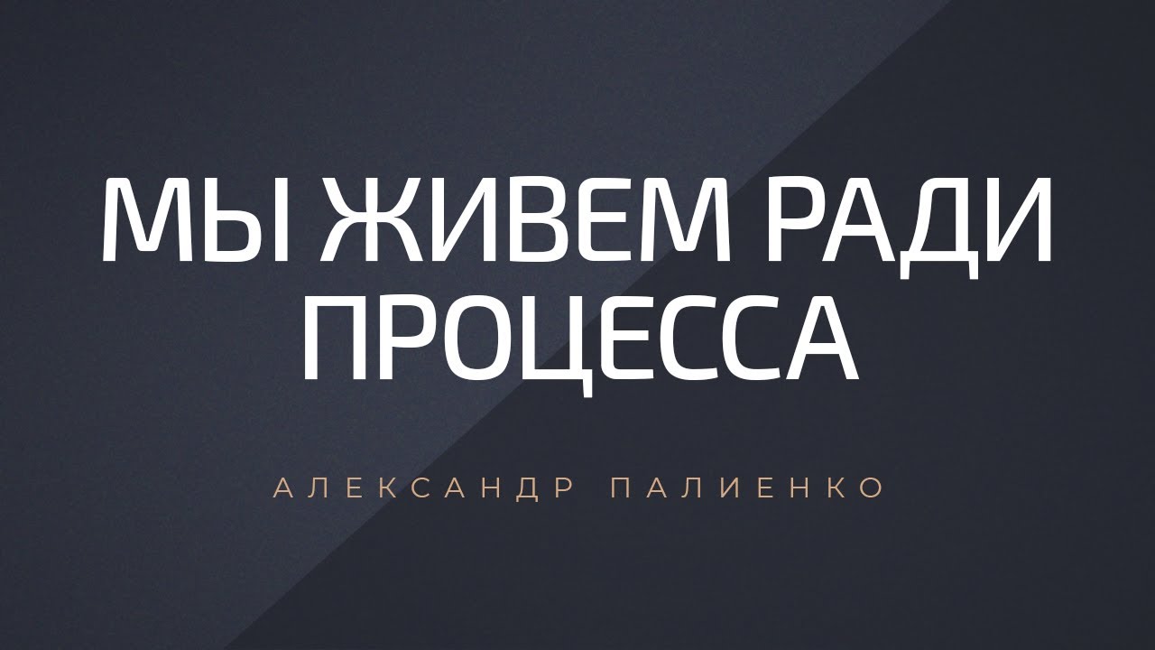 Палиенко про машины