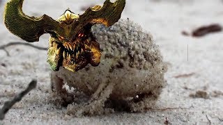 Desert rain frog summons bfg