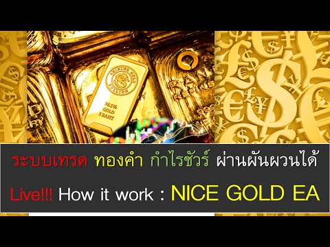 ไลฟ์สดเทรดทองคำด้วยโรบอท Nice Gold EA ยาว 5ชั่วโมง 7-Dec-2020