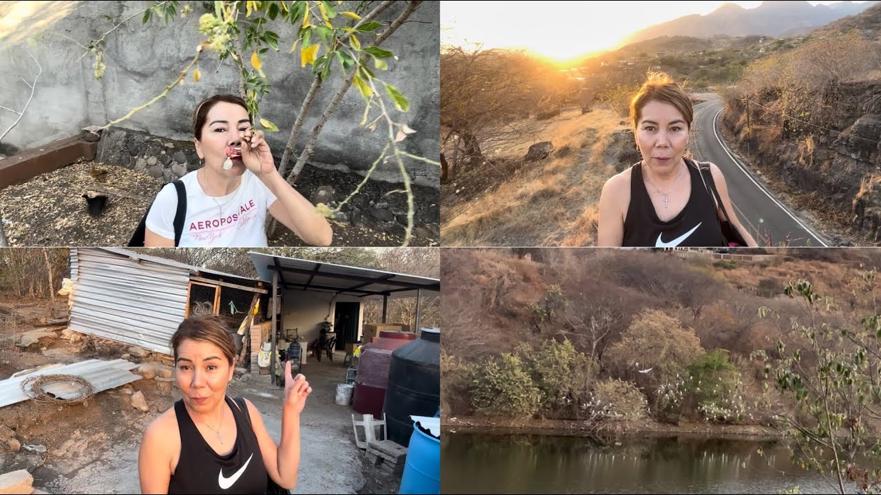 Contestó a Su Pregunta⁉️esta brava 😱Que Triste😞➕Quiere Los Perritos🐶 Ustedes Qué Opinan😬